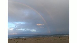Поездка мыс Слепиковского г. Томари 19.08.2022 Небольшой видеоролик!!!
