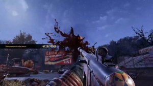 "Импровизированный Мегаособняк" в Fallout 76