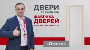 Межкомнатные двери от эксперта Фабрики дверей_ модель Омега (Студио)