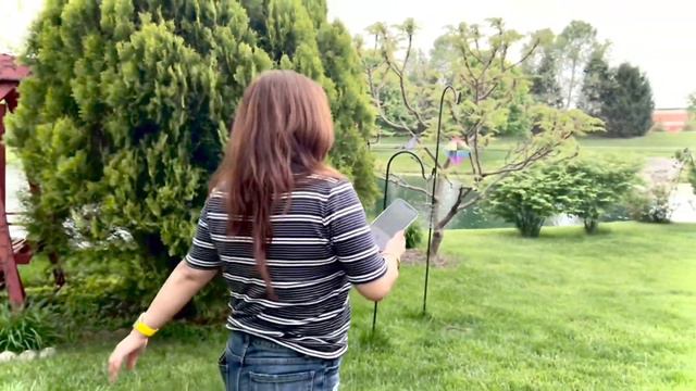 Mother’s Day Charcoal Grilled Rib Eye Steaks, Corn on the Cob, Pico De Gallo Dip  Tortilla смотреть онлайн