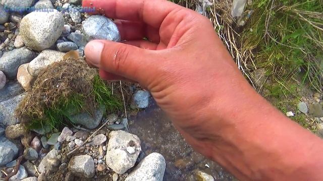 Не пойму прозрачный или непрозрачный камень смотреть онлайн