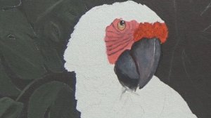 Как правильно нарисовать птицу. Как нарисовать ару поэтапно. Урок живописи как нарисовать ару