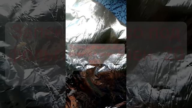 Мясная закуска на праздник#shorts# лучшиерецепты#готовимдомавкусно#блюдаизмяса???????