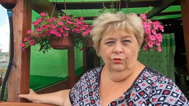 Быстрый компот на зиму. Дачные дела и собрали помидоры. смотреть онлайн