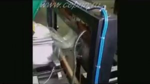 Грибной бизнес. Производство и прибыль. Оборудование для грибоводства.