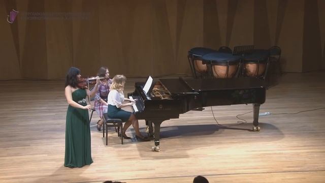 П.И. Чайковский Размышление / P. Tchaikovsky Meditation смотреть онлайн