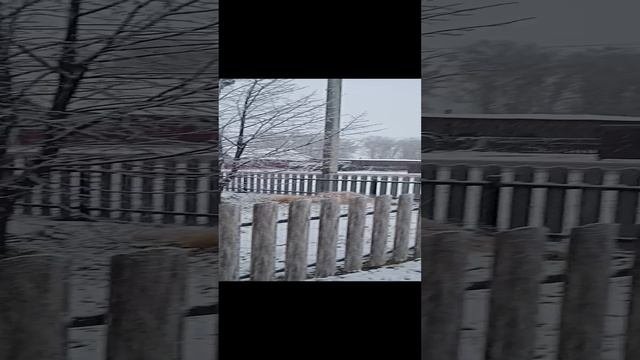 Первый снег