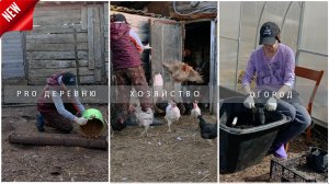 👩_🌾Мой день в деревне_ 🌳 Вторая обработка сада 🌱 Пикировка рассады 🐔🐤 Куры #garden #сад #дача