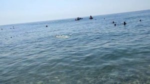 #Ольгинка, пляж