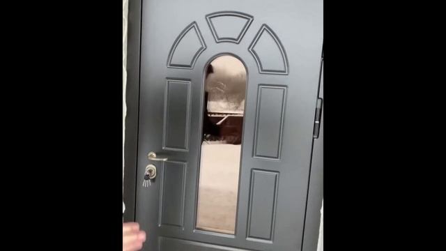 Арочная входная дверь для частного дома на заказ. Любые размеры, индивидуальное изготовление смотреть онлайн