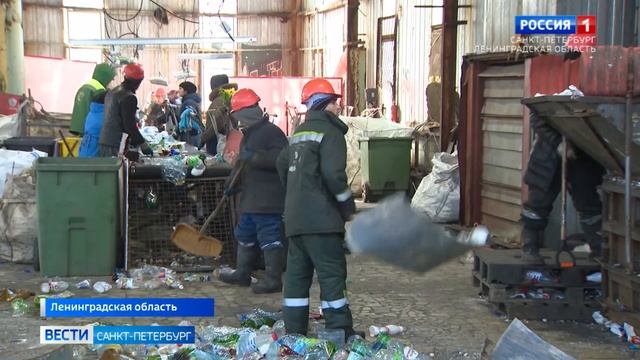 В Петербурге работает пилотный проект по раздельному сбору мусора смотреть онлайн