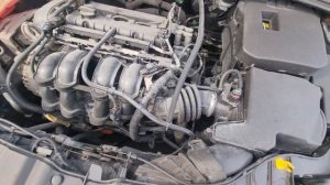 Ford Focus III 2011 1,6л мкпп - подкапотное пространство и двс