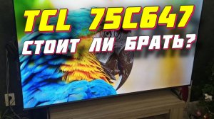 Телевизор TCL 75C647 СПУСТЯ ПОЛГОДА