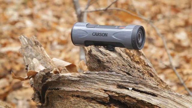 Ống nhòm một mắt zoom 7x - 21x Carson ZM-721 (Hãng Carson - Mỹ) смотреть онлайн