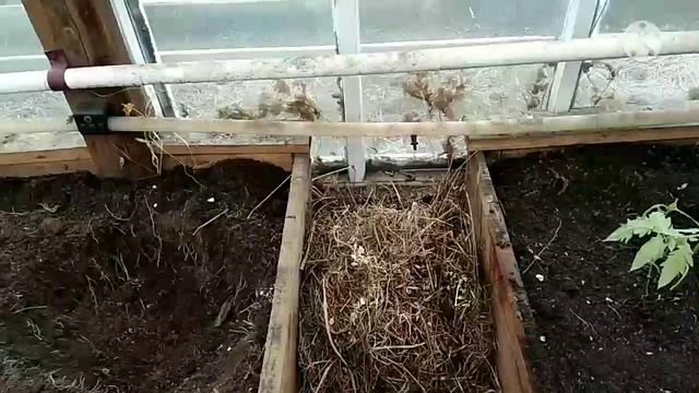 ?Высаживаем рассаду томатов в теплицу? смотреть онлайн