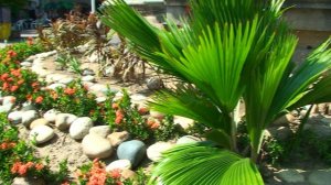 Мексика, Часть - 7. Фильм о путешествии в нескольких сериях. Мехико, Акапулько.