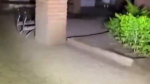 Призрак девочки на кладбище