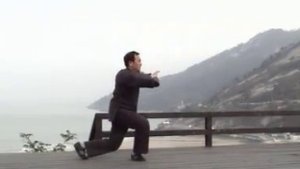 刘勇老架一路演示 Master Liu Yong Chen Style Tai Chi Lao Jia Yi Lu Равняемся на мастеров.