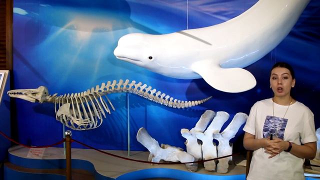 Белуха в музее смотреть онлайн