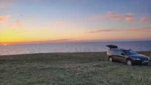 Крым_лиса.avi