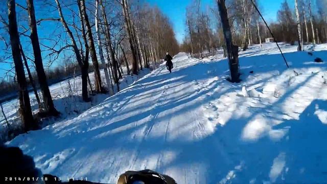 Едем в лес. смотреть онлайн