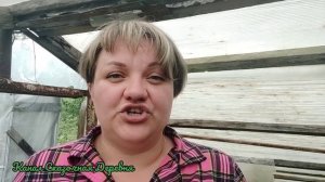 Цимбидиум ЧЕРЕЗ ГОД после посадки.