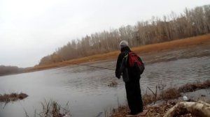 Обзор воблера STRIKE PRO Arc Minnow 105SP