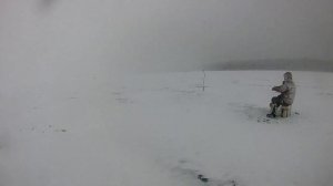 Окунь на Балду. Плотва клюет без передыху.