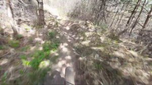 Карьерный TRAIL в Товарково "Буйные есть!"  Seroxat ebike Bafang m620