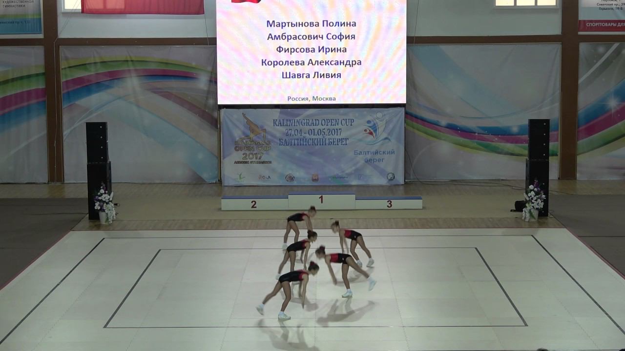 AEROBYC GYMNASTICS (ND1 GR)