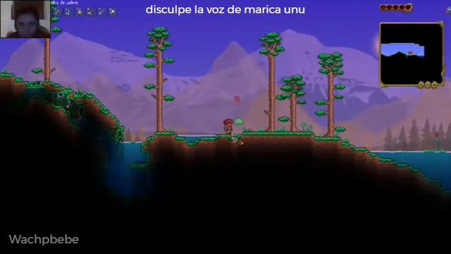 Terraria UwU смотреть онлайн