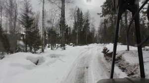 За сеном на Урале лесовозе