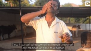 Индийская уринотерапия