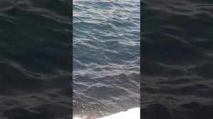 Мраморное море в Турции.Как уложены камни вдоль всего побережья...)