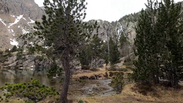 Astral Float - Let Go and Drift! смотреть онлайн