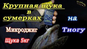 Крупная щука в сумерках на ультралайт