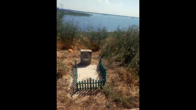 Кладбище домашних животных - Волгоград