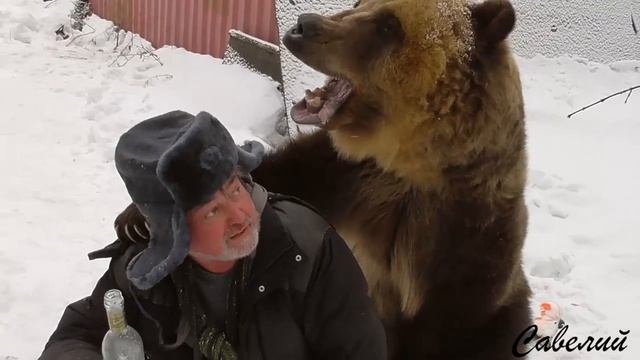 Масленица и Медведь