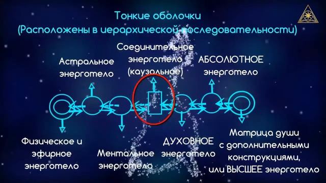 ЧЕЛОВЕК. ПОСТОЯННЫЕ И ВРЕМЕННЫЕ ЭНЕРГОТЕЛА ЧЕЛОВЕКА. СЕКЛИТОВА Л.А. СТРЕЛЬНИКОВА Л.Л.