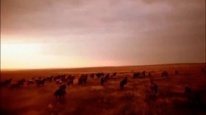 Жанна Бичевская - Любо, братцы, любо