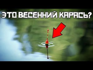 ПОПАЛИ НА ЖОР в ПРУДУ! Только закинул и КЛЮЁТ! Ловля карася весной!