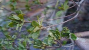 Testaufnahmen: Panasonic Lumix DMC-G3 (HD)