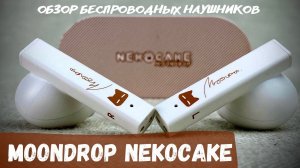 Обзор TWS наушников Moondrop Nekocake - Тортик, котик и классный звук?
