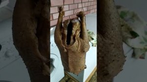 Гусь вяленый рецепт. Засолил в рассоле. Пищевые цеха РФ