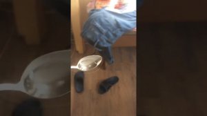 Как убрать жвачку с одежды