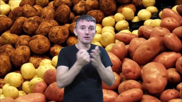 Откуда появился картофель и целебные свойства