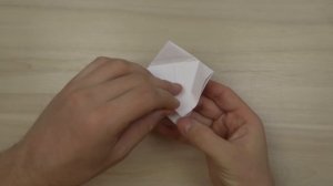 Попугай оригами. Как сделать попугая из бумаги А4 без клея и без ножниц - лёгкое оригами