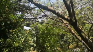 Дача в Краснодаре за 990 000 руб. - Купить дачу в Краснодаре