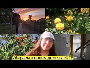 Черешня ломается от ягод, копаем картошку, намываем новый дом☀️Переезд на юг в Краснодарский край