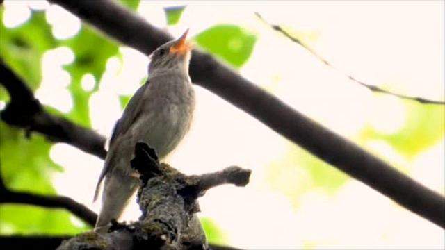 ПРИТЧА "ТОТ, КТО ДУМАЕТ ТОЛЬКО О СЕБЕ, ЛИШАЕТ СЕБЯ ПОМОЩИ ОТ ДРУГИХ" смотреть онлайн